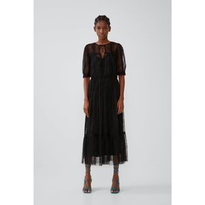 Zara Swiss Dot Dress